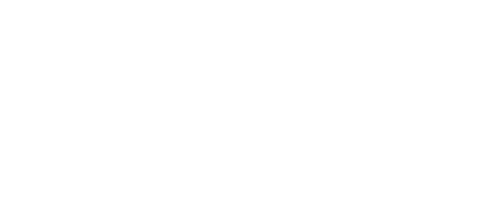 Unabhängige Sicherheitsprüfung Icon